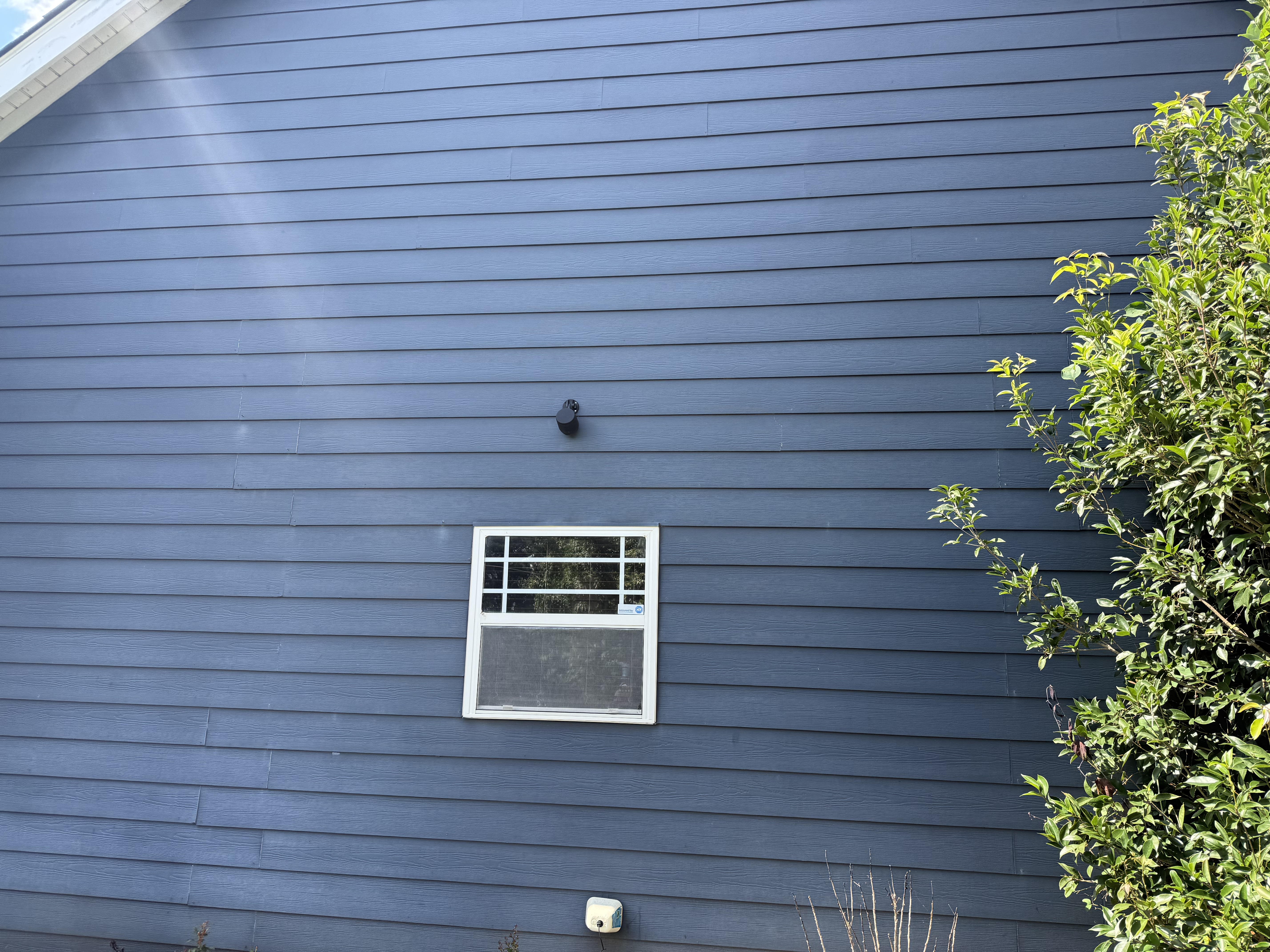 Side of house after cleaning — clean horizontal siding