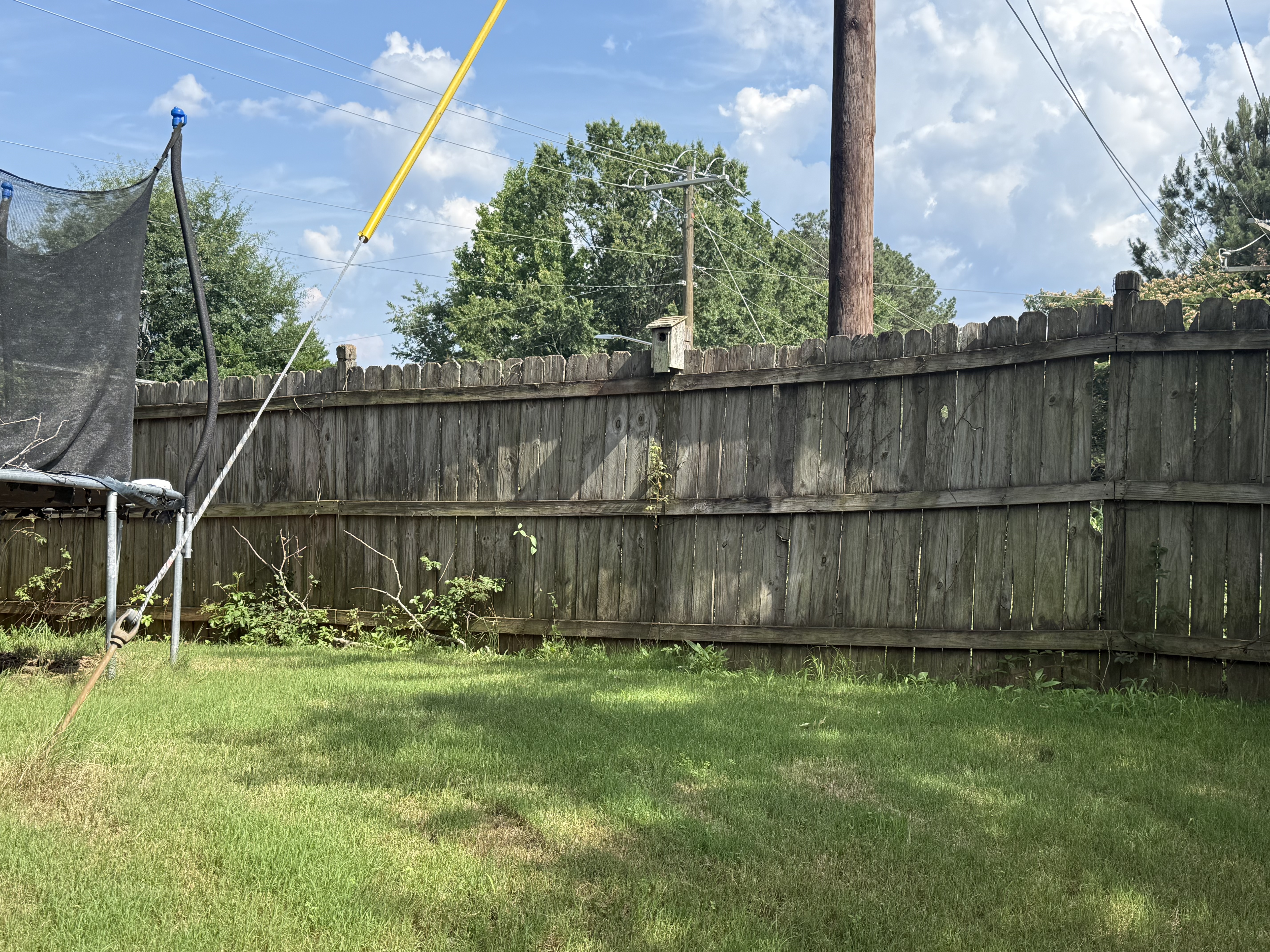Wood fence before — gray, weathered, algae-covered
